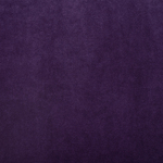 Purple 864