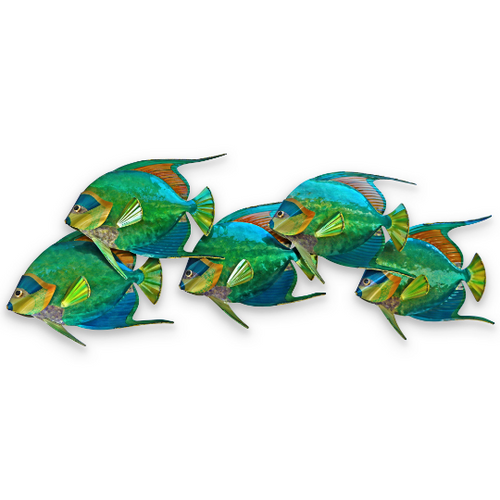 Queen Angelfish School of 5 - Metal Wall Art CO140 Queen Angelfish School of 5 - Metal Wall Art CO140