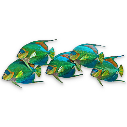 Queen Angelfish School of 5 - Metal Wall Art CO140