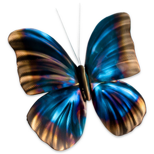 Blue Morpho Single MM046