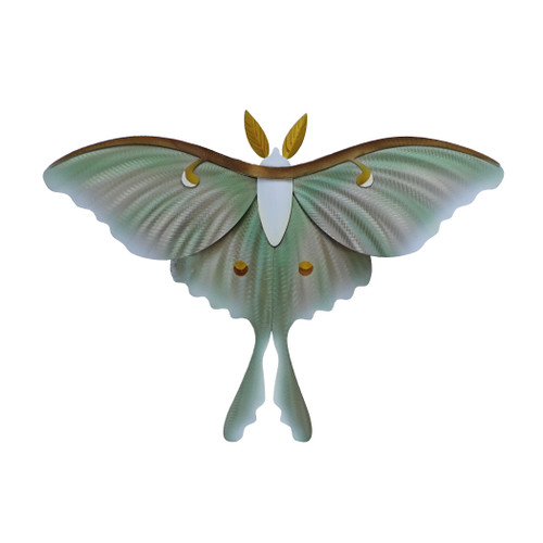Luna Moth Single Wall Art MM021