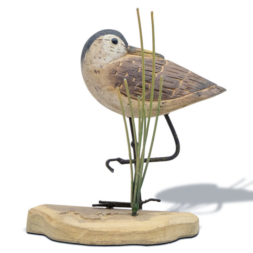 Sandpiper Resting - Hand Carved Wood Sandpiper Resting - Hand Carved Wood