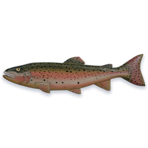 Rainbow Trout Wall Art CW373 Rainbow Trout Wall Art CW373