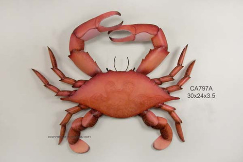 Giant Blue Claw Crab Cooked Giant Blue Claw Crab Cooked