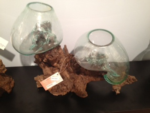 Double Glass Vase on Root Double Glass Vase on Root