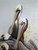 5 pelicans sitting on pilings. Large painting is a reproduction of an original American artist.  Pelican painting with frame measures  32"x 24".