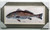 Redfish - large framed painting.  Reproduction of an original American artist.  Computer painted on canvas with real wooden frame and fabric matting. Painting is over 3.5' long!