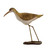 Curlew Decoy - CW600