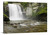 Looking Glass Falls Canvas Wrap - David Lawrence Photography