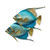 Queen Angelfish Pair Blue - CO006 