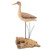 Rustic Shorebird Head Up on Root MM957