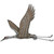 Sandhill Crane Flying Wall Sculpture