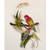 Tropical Rosellas on a Branch Metal Wall Hanging