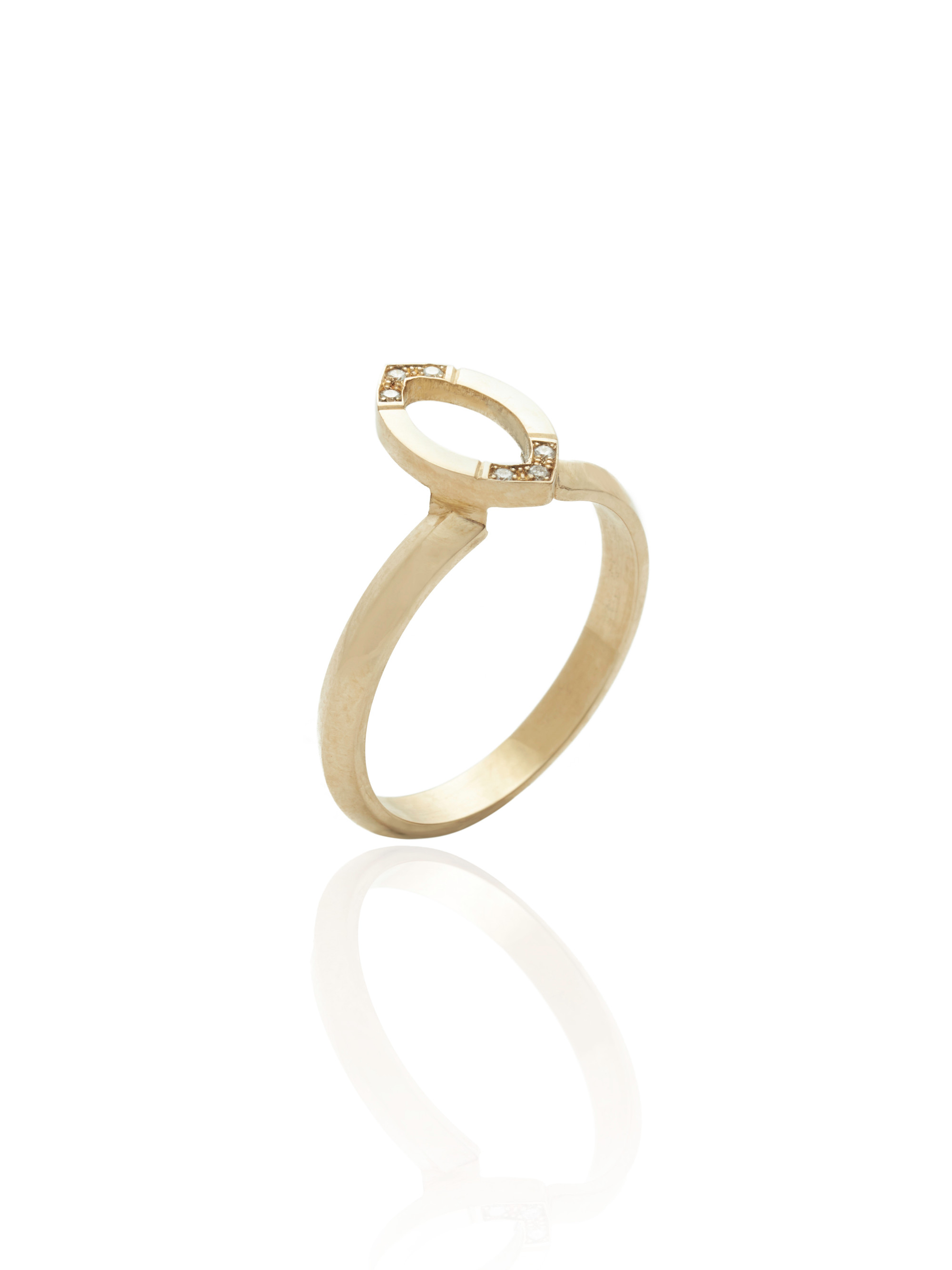 Halo 9ct Gold & Diamond Ring