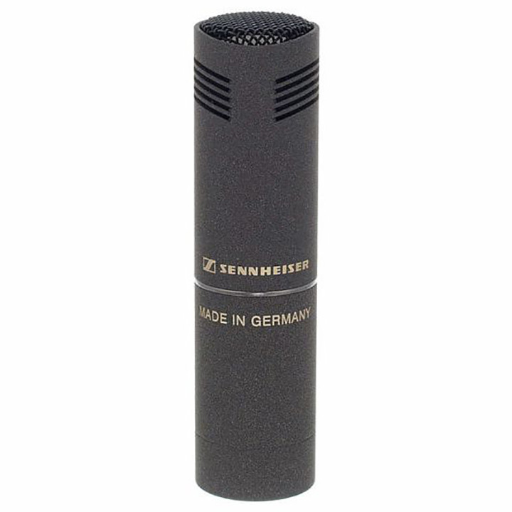 ミロ風 Sennheiser MKH 8090 for mid-side: the Goldilocks mid mic for field