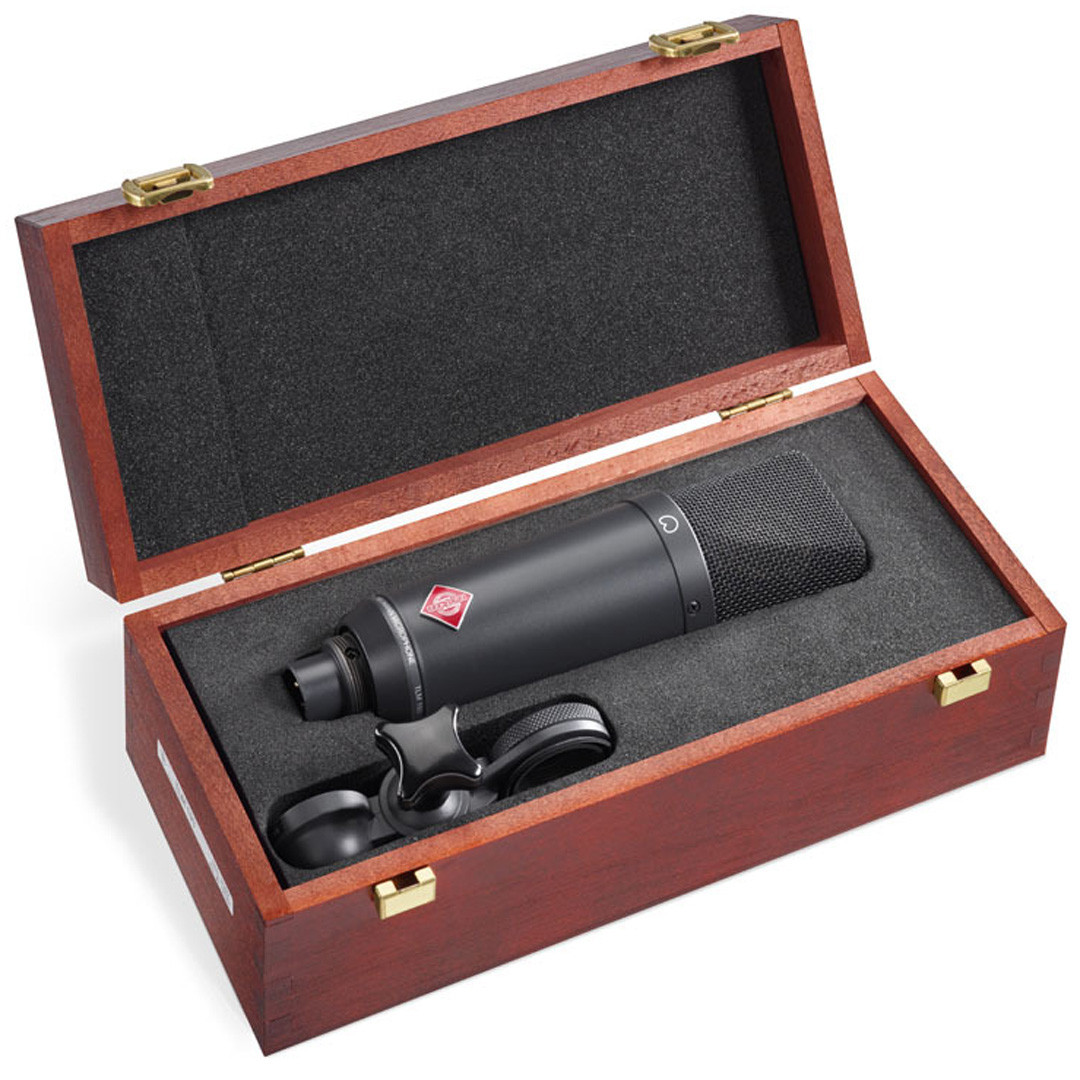 Neumann TLM 193 Microphone | FrontEndAudio.com