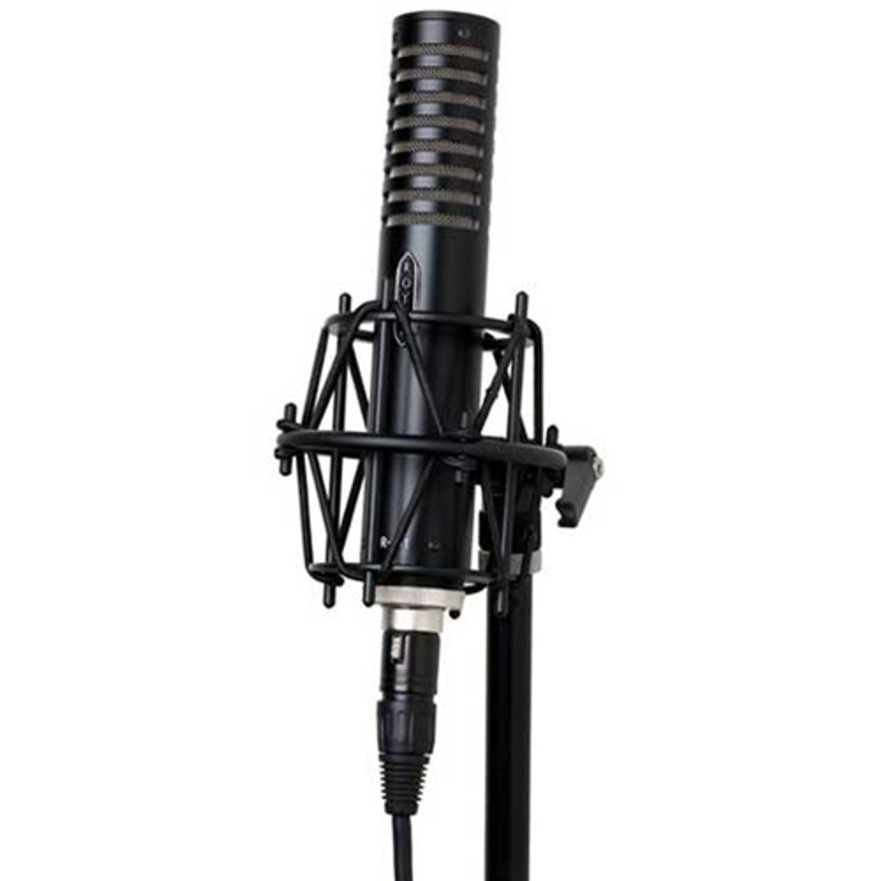 ROYER r101 レコーディング用リボンマイク Royer R-101 Ribbon Microphone | FrontEndAudio.com