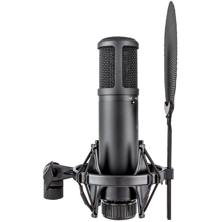 sE Electronics sE2200 Microphone | FrontEndAudio.com