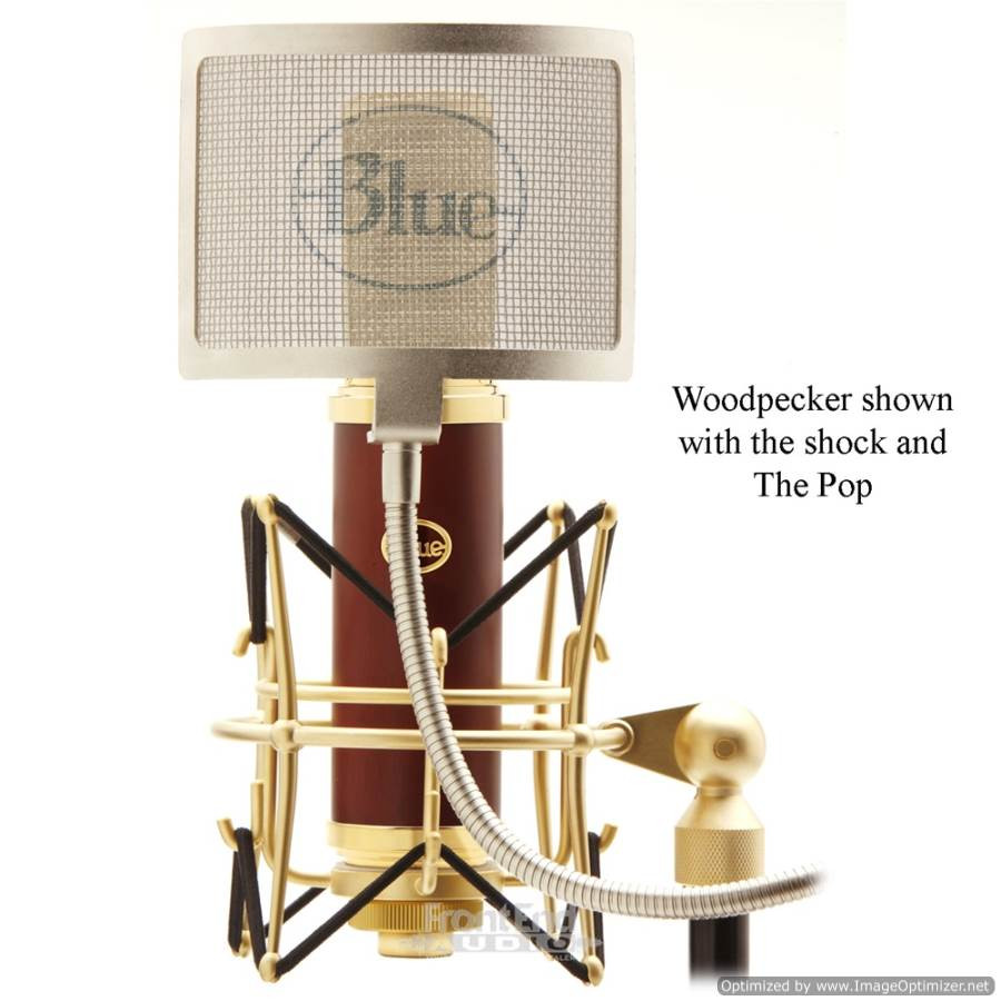 Blue Microphones Woodpecker Active Ribbon Microphone