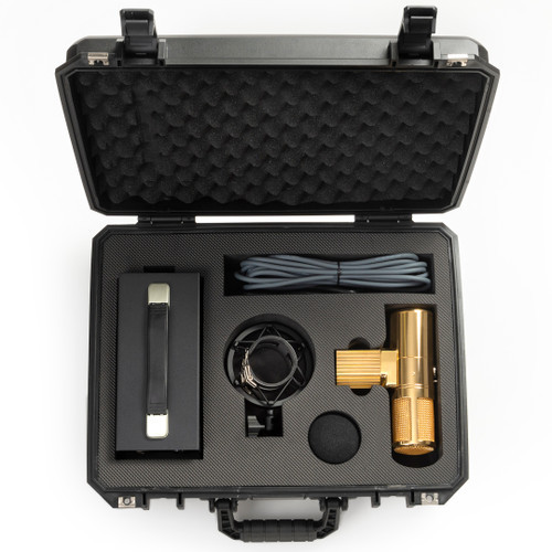Warm Audio WA-8000G Tube Microphone (B-Stock) | FrontEndAudio.com