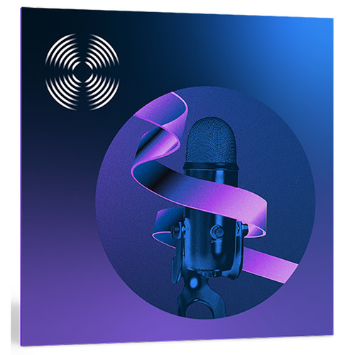 iZotope RX 12