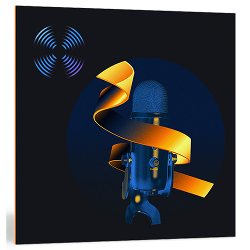 iZotope RX 12 Advanced