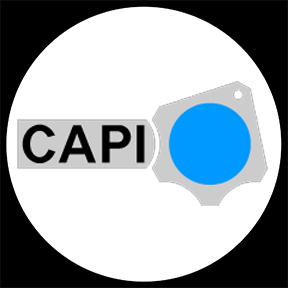 CAPI