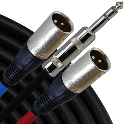 RapcoHorizon 1/4 TRS Male to XLR Male Y-Cable (2 Foot