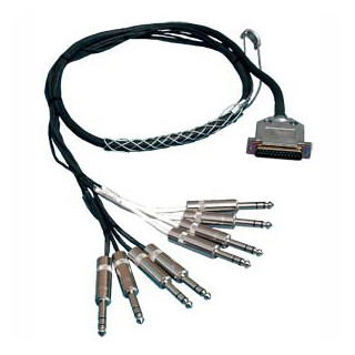RapcoHorizon Neutrik DB25 to TRS Snake (20 Foot) | FrontEndAudio.com