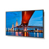 65" Ultra High Definition Commercial Display with Built-In Intel PC