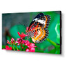 49" LED-Backlit 1.8mm 2x2 Video Wall Bundle (98" Active Screen Size)