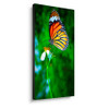 55" LED Backlit 0.88mm Ultra-Narrow Bezel 2x2 Video Wall Bundle