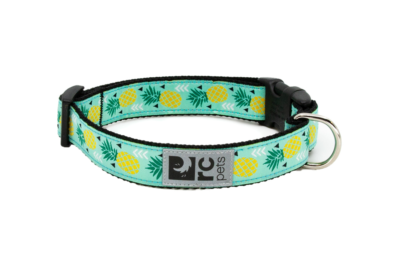 Pineapple Dog Leash
