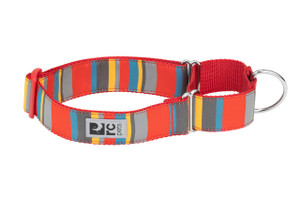 All Webbing Training Collar - Multi Stripes 345