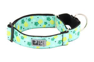 All Webbing Training Collar - Pineapple Parade 251