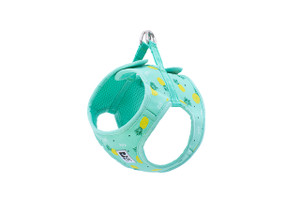 Step In Cirque Harness - Pineapple Parade 251
