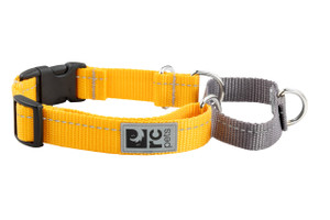 Primary Web Training Clip Collar - Marigold 198