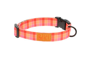 Eco Clip Collar - Gleeful Gingham 416