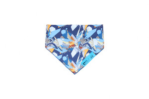 Artist Series Bandana - Daim - Image 2