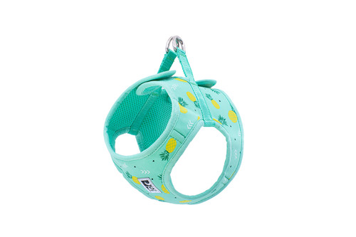 Step In Cirque Harness - Pineapple Parade 251