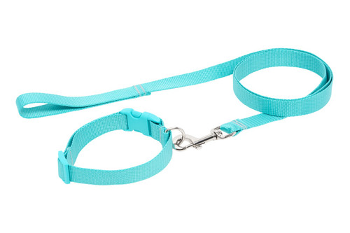 Bakoda Collar & Leash Set - Teal 015