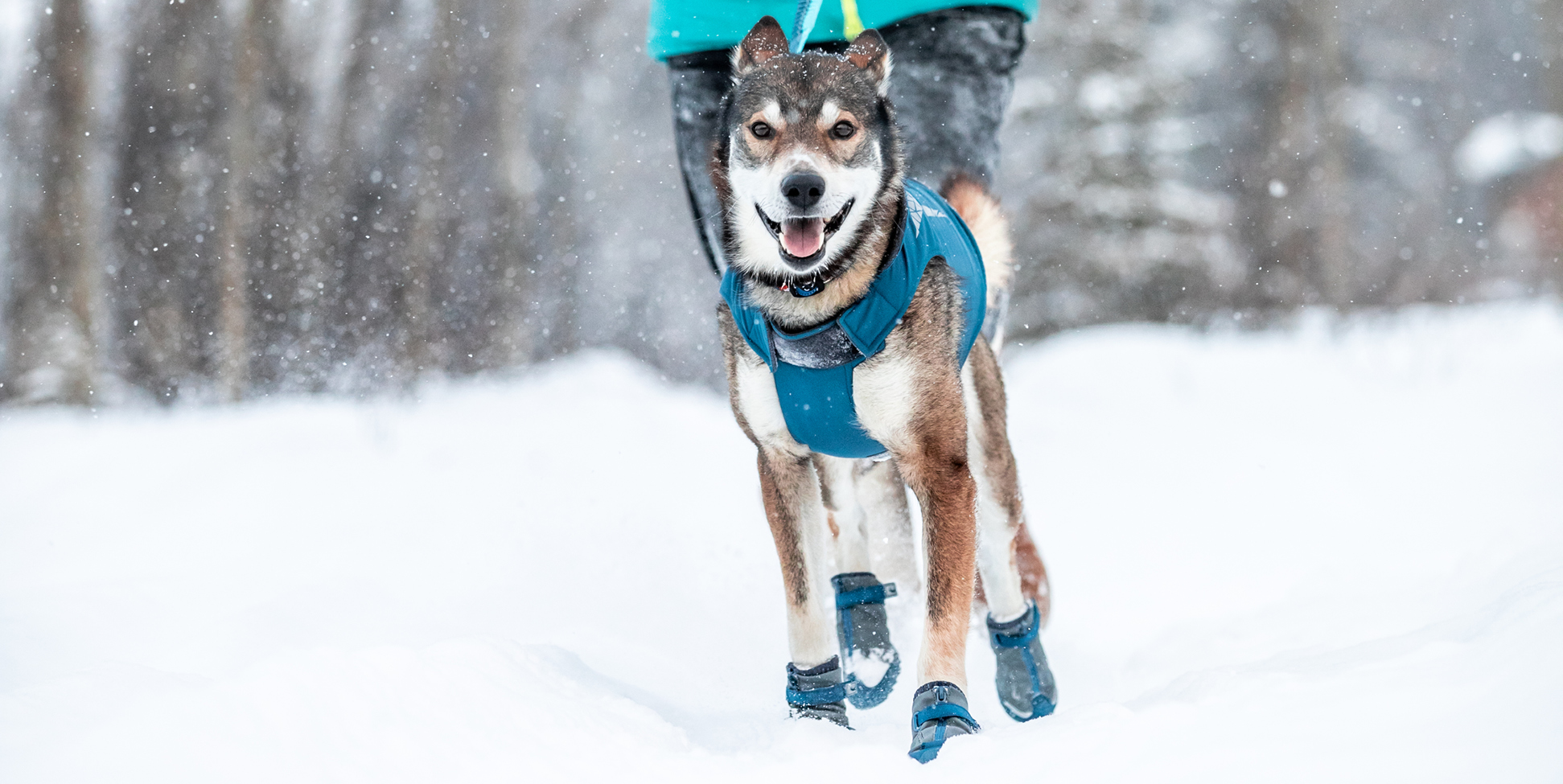 The best winter dog boots of 2023: Snow and cold-weather boots for your pup