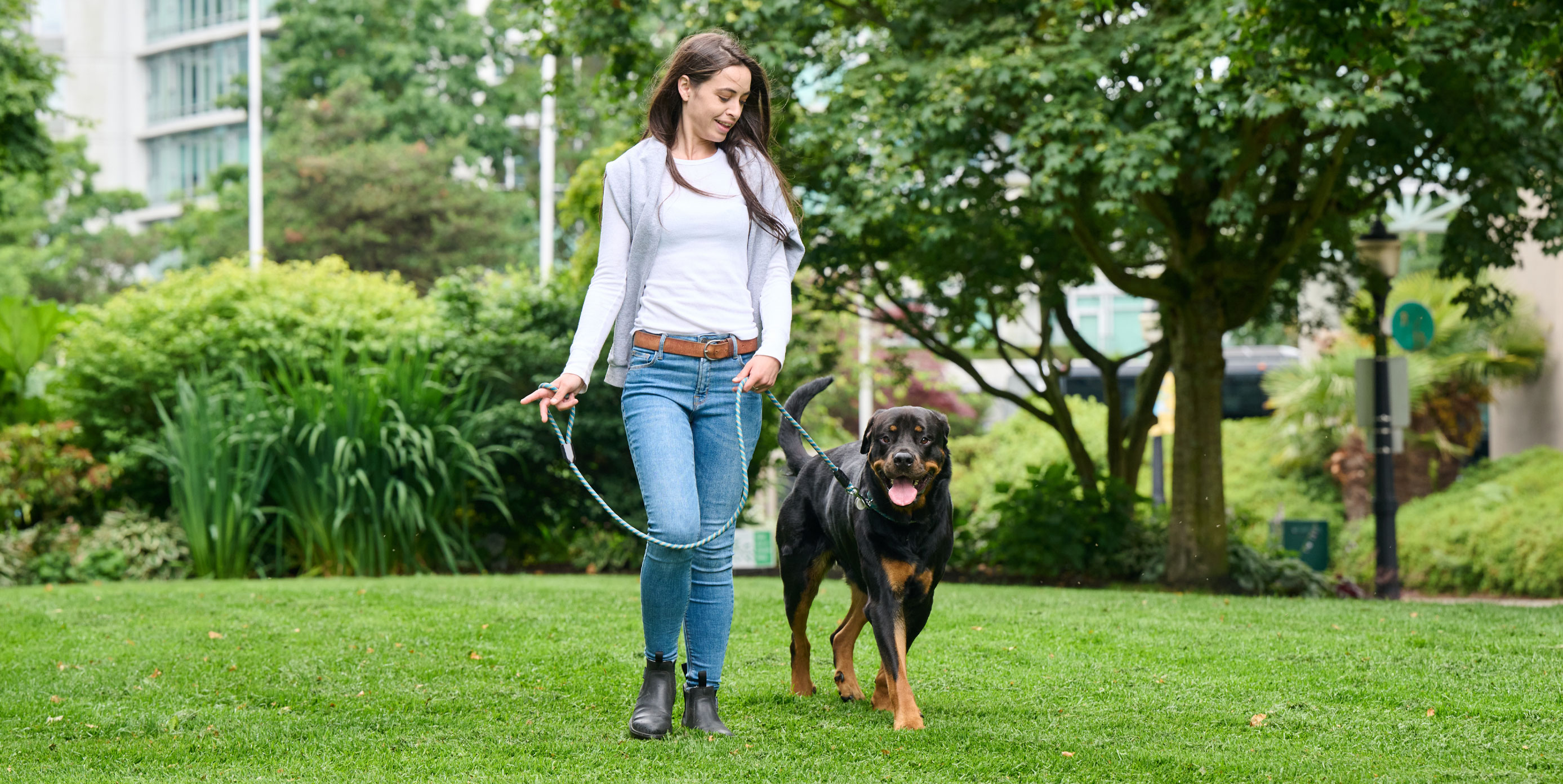 Rope Leash  Strong and Reliable Leash for Dogs