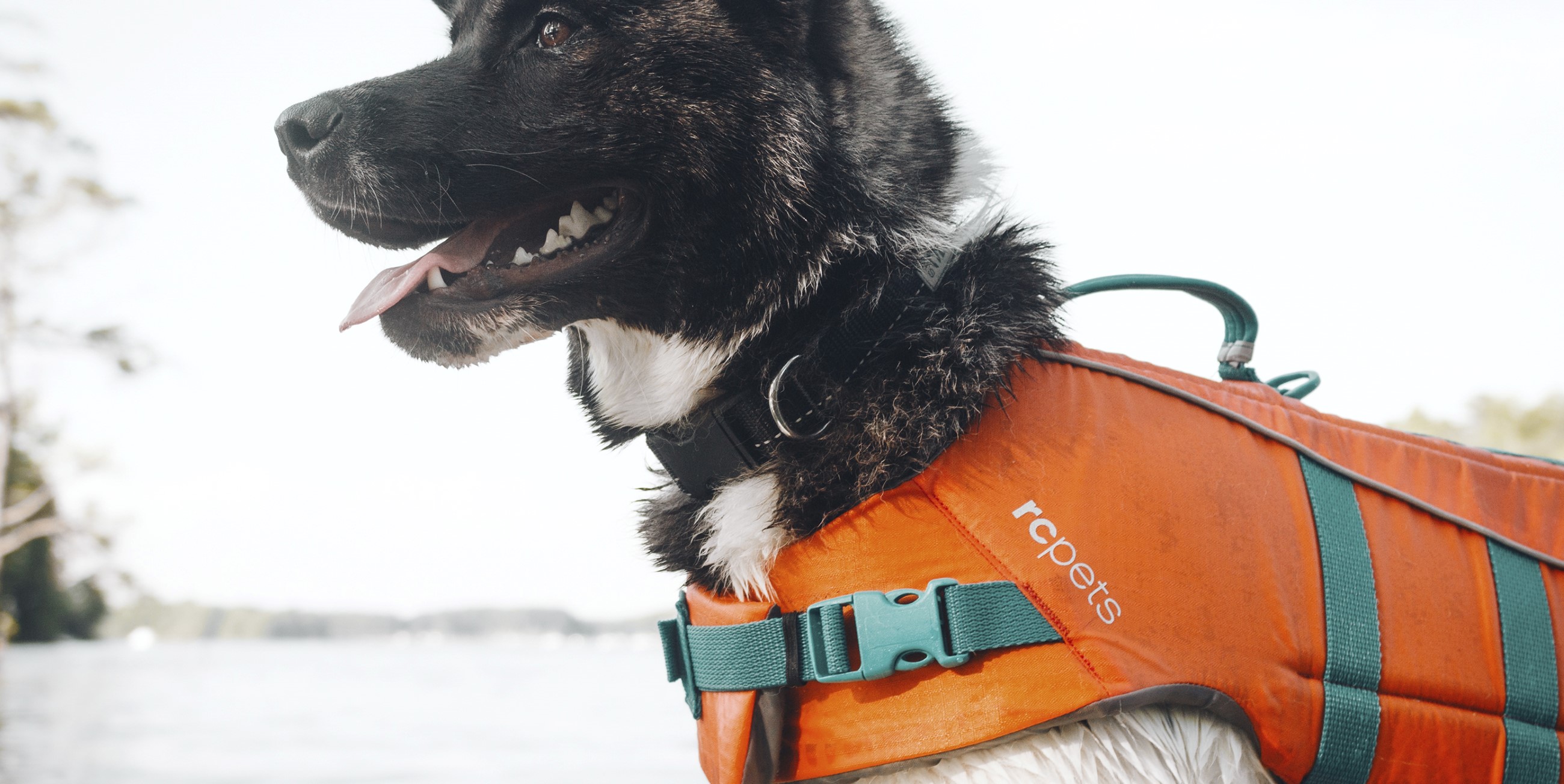 Pet Life Dog Helios 'Tidal Guard' Dog Life Jacket