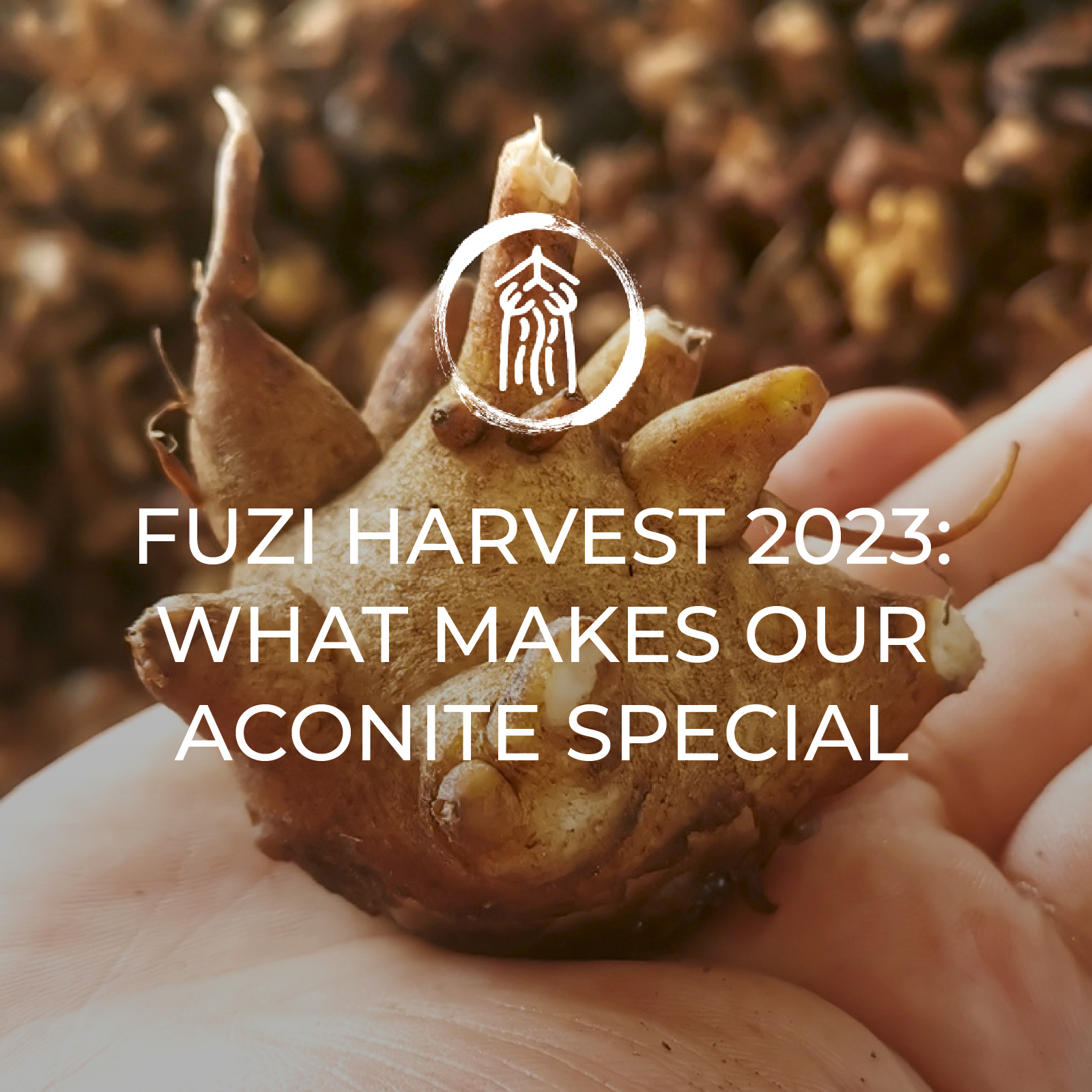 Aconite Harvest 2023