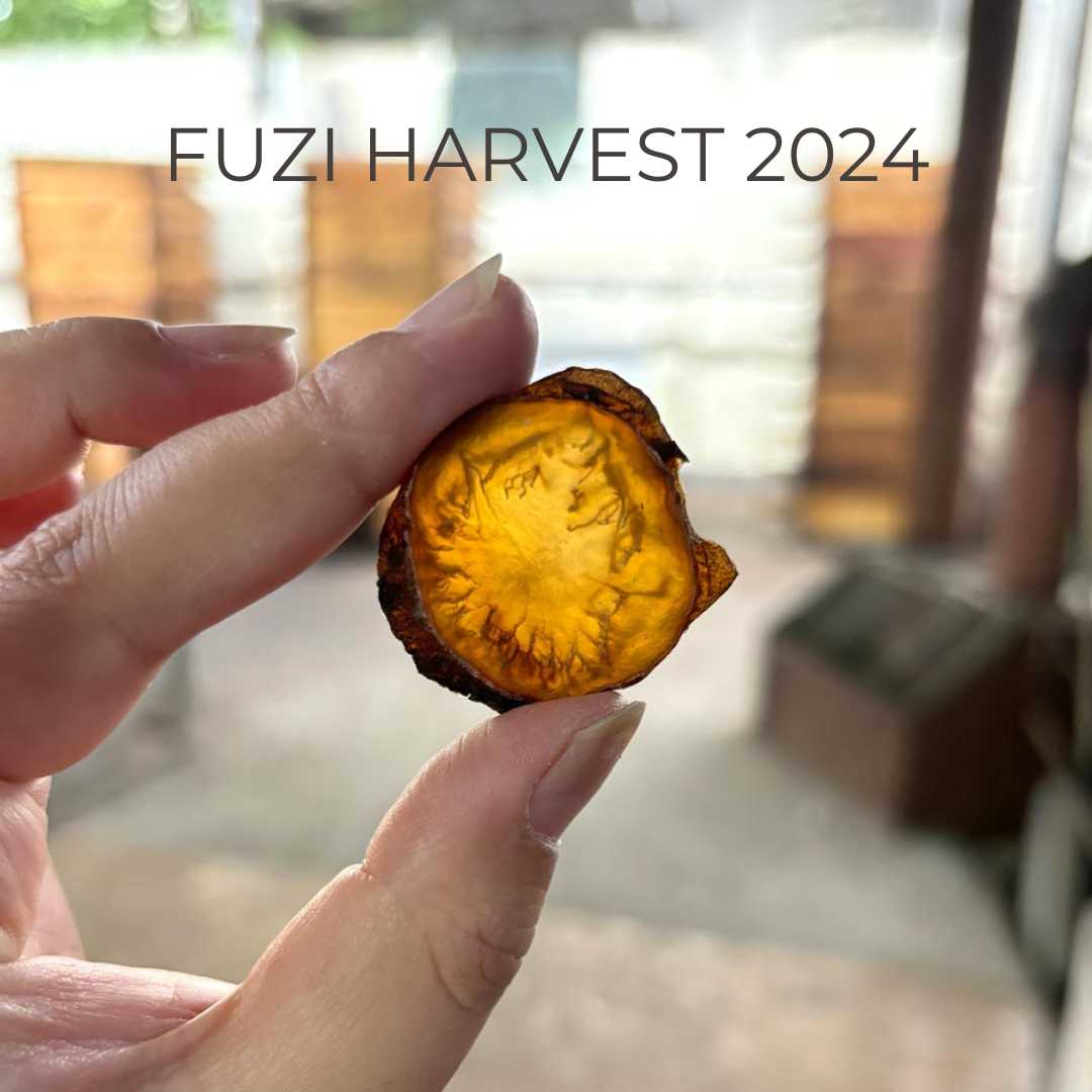 Fuzi 2024 Harvest