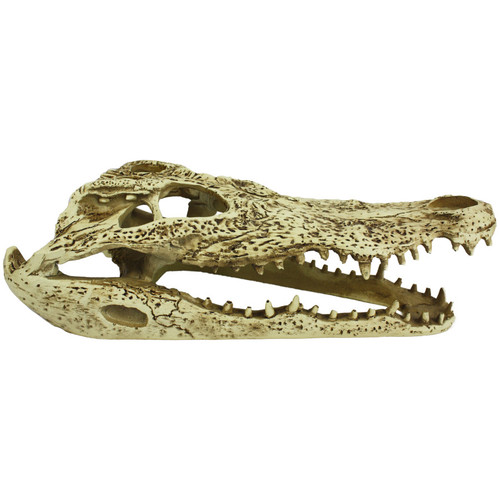 Komodo Alligator Skull Hideout - 9 inch - side