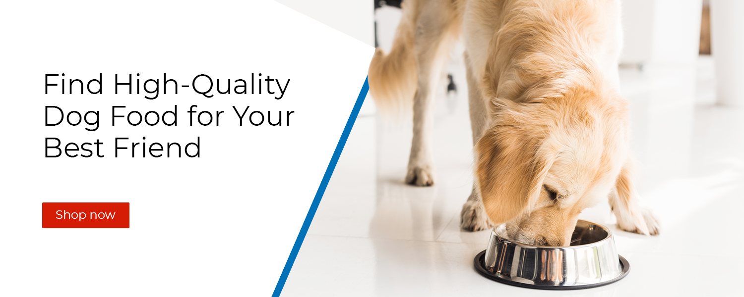 pet quality dog