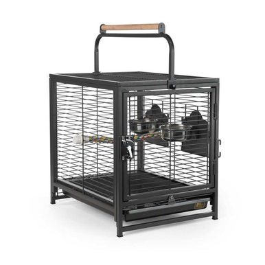 acrylic fish tank magnet cleaner