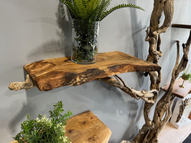 Driftwood Tree shelf wall Sculpture DRIFTWOOD INTERIORS